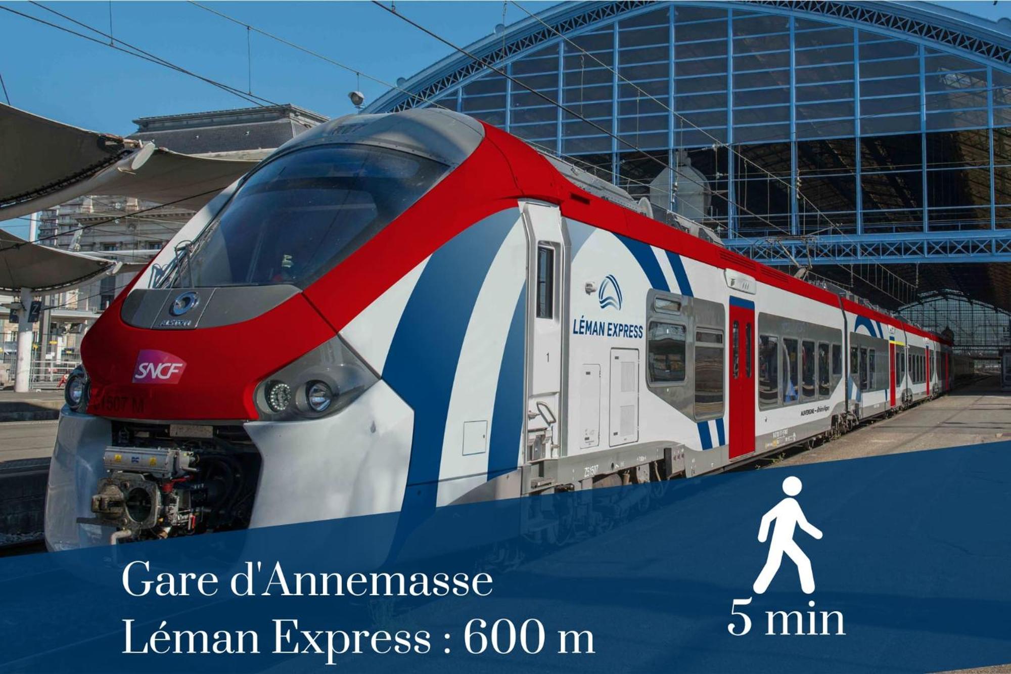 Homey Forest - Hypercentre - Proche Gare Et Tram - Wifi & Netflix Annemasse Extérieur photo